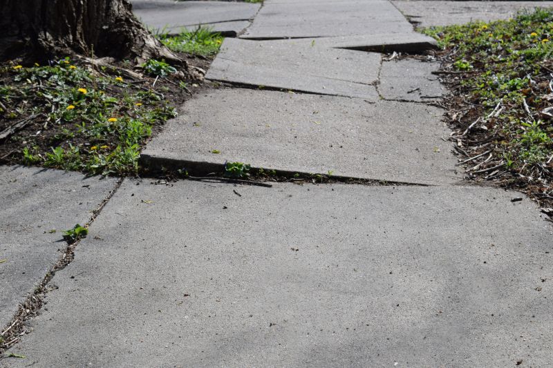 Damaged Sidewalk
